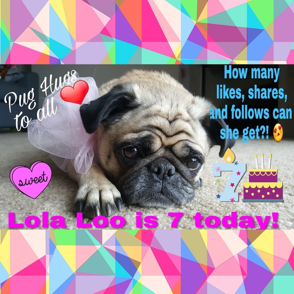 Birthday Follow Game!